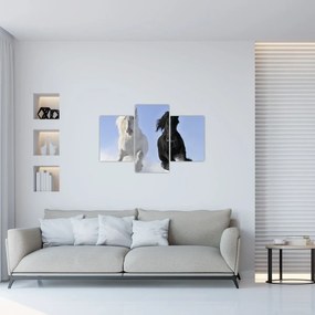 Obraz - Kone v zime (90x60 cm)