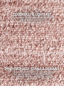 Ted Baker, Behúň Ted Baker Notting Hill 106350 Pink, 80x200, ružová, obývacia izba