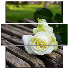 Obraz na plátne - Biela ruža na lavici - štvorec 3224D (105x105 cm)
