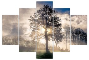 Obraz stromu v hmle (150x105 cm)