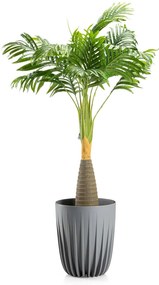 PLASTOVÝ KVETINÁČ STRIPPED 25X30 CM SIVÁ