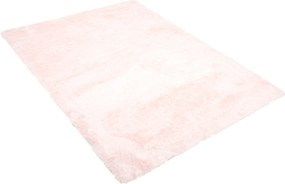 TA Koberec SVETLORUŽOVÉ VTÁČIE PIERKO