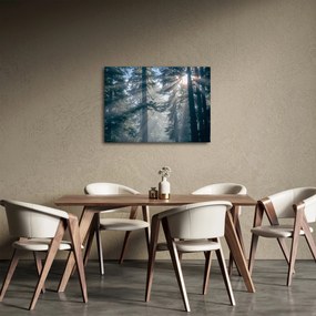 Obraz stromov s presvitajúcim slnkom (70x50 cm)