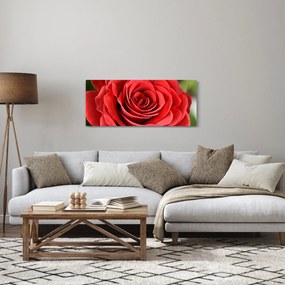 Obraz kvetu ruže (120x50 cm)