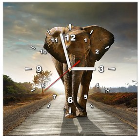 Gario Obraz s hodinami Osamelý silný slon Rozmery: 100 x 40 cm