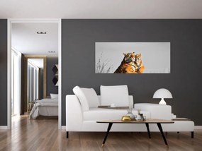 Obraz - Tigrice a jej mláďa, čiernobiely variant (120x50 cm)