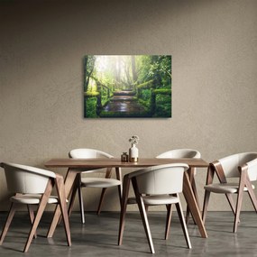 Sklenený obraz - drevené schody v lese (70x50 cm)