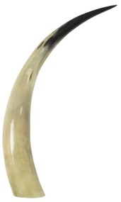 Dekratívny roh Bizon - 45cm