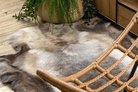 Koberec RENIFER POK009 hnedý / sivý