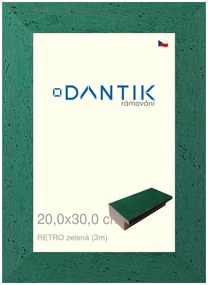 DANTIK rám na obraz 20x30 | RETRO zelená (Sklo Čiré)