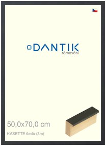 DANTIK rám na obraz 50x70 | KASSETTE šedá (Plexi Čiré)