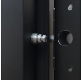 Vchodové dvere vedľajšie Steel Standart 02 1000 x 2100 mm ľavé antracit