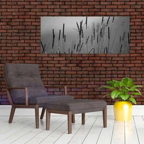 Obraz - Steblá trávy (120x50 cm)