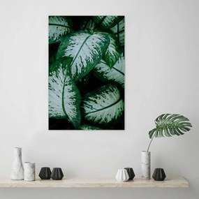 Gario Plagát Zelené tropické rastliny Farba rámu: Bez rámu, Rozmery: 40 x 60 cm