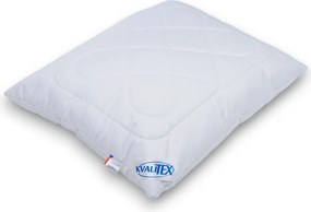 Kvalitex Vankúš Aloe Vera Alaska zips, 70 x 90 cm