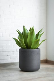 Kvetináč CHICO, sklolaminát, výška 31 cm, antracit