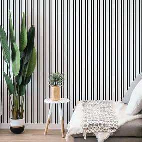 VLADILA Black And White Stripes - tapeta