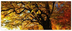Obraz jesenného stromu (120x50 cm)