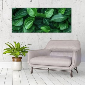 Obraz - Zelené listy (120x50 cm)