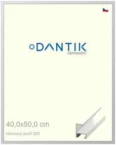 DANTIK rám na obraz 40x50 | ALU Bílá matná (Plexi Čiré)
