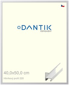 DANTIK rám na obraz 40x50 | ALU Bílá matná (Plexi Čiré)