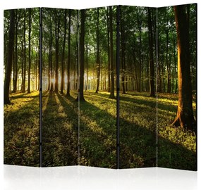Artgeist Paraván - Morning in the Forest II [Room Dividers]