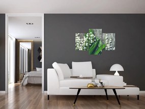 Obraz konvaliniek (90x60 cm)
