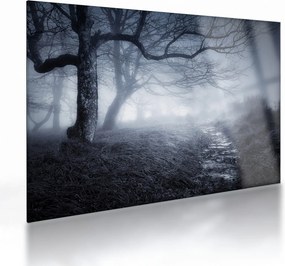 Sklenený obraz - Cesta v hmle (70x50 cm)