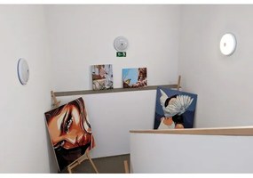 Vonkajšie LED stropné svietidlo s pohybovým a súmrakovým senzorom LED/16W/230V IP54