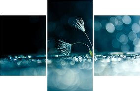 Obraz - Makro (90x60 cm)