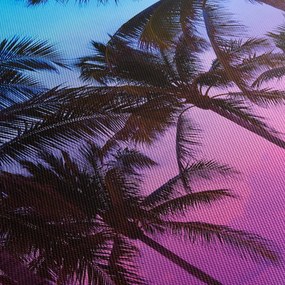 Obraz - Palmy v Miami (150x105 cm)