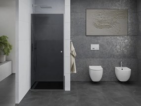 Mexen Pretoria, sprchové dvere do otvoru 70 x 190 cm, 6mm šedé sklo, chrómový profil, 852-070-000-01-40