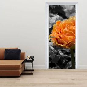Fototapeta na dvere - Kvet (95x205cm)