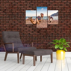 Obraz tiav (90x60 cm)