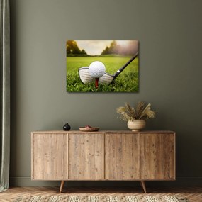 Obraz - Golf (70x50 cm)