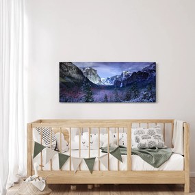 Obraz zimnej horskej krajiny (120x50 cm)