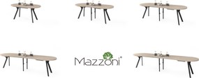Mazzoni EXPANSO Kašmír / čierne nohy - OVÁLNY ROZKLADACÍ STÔL 160-360 cm PRE 16-18 OSÔB