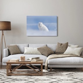 Obraz - Polárna líška (90x60 cm)
