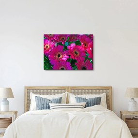 Obraz - kvety (70x50 cm)