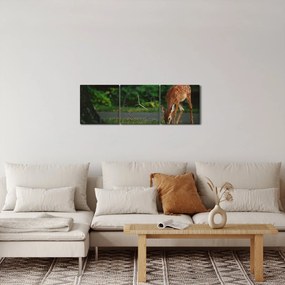 Obraz srnky (s hodinami) (90x30 cm)