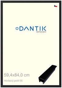 DANTIK rám na obraz 59,4x84 | ALU Černá matná (Plexi Čiré)