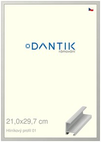 DANTIK rám na obraz 21x29,7 | ALU Stříbrná matná (Sklo Čiré)