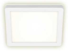 Briloner 3010-016 - LED Stropné svietidlo LED/8W/230V 19x19 cm biela IP44