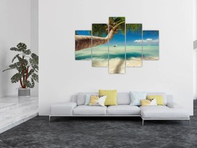 Obraz - Čisté more s palmou (150x105 cm)