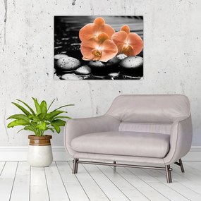 Sklenený obraz - Oranžové orchidey (70x50 cm)