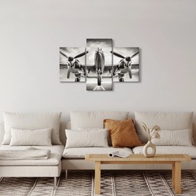 Obraz - Warbird (90x60 cm)
