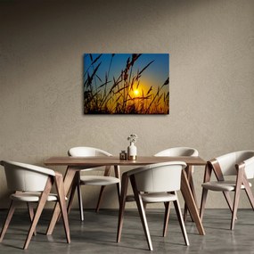 Obraz - Západ slnka v lúke (70x50 cm)