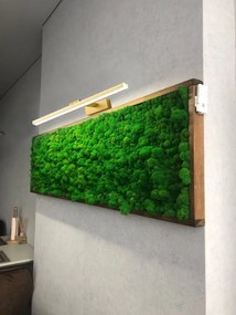 Toolight Toolight, LED kúpeľňové nástenné svietidlo nad zrkadlo 40cm 8W 1200lm 4000K APP833-1W, zlatá, OSW-07011