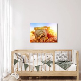 Obraz afrických zvieratiek (70x50 cm)