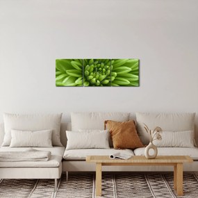 Obraz - Makro snímka rastliny (s hodinami) (90x30 cm)